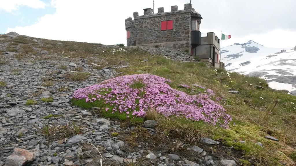 فندق باسو ستيلفيوفي  Rifugio Garibaldi المظهر الخارجي الصورة